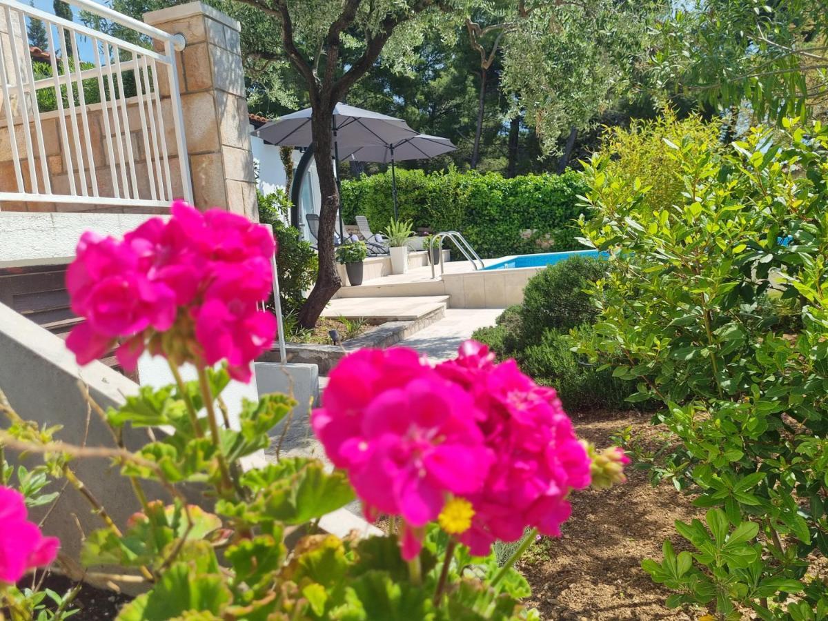 Villa Ilaria Bol Exterior foto
